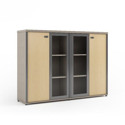 IP40 Rated Glass Door Filing Cabinet with Password Lock and Customizable Features