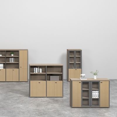 IP40 Rated Glass Door Filing Cabinet with Password Lock and Customizable Features