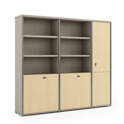 IP40 Rated Glass Door Filing Cabinet with Password Lock and Customizable Features